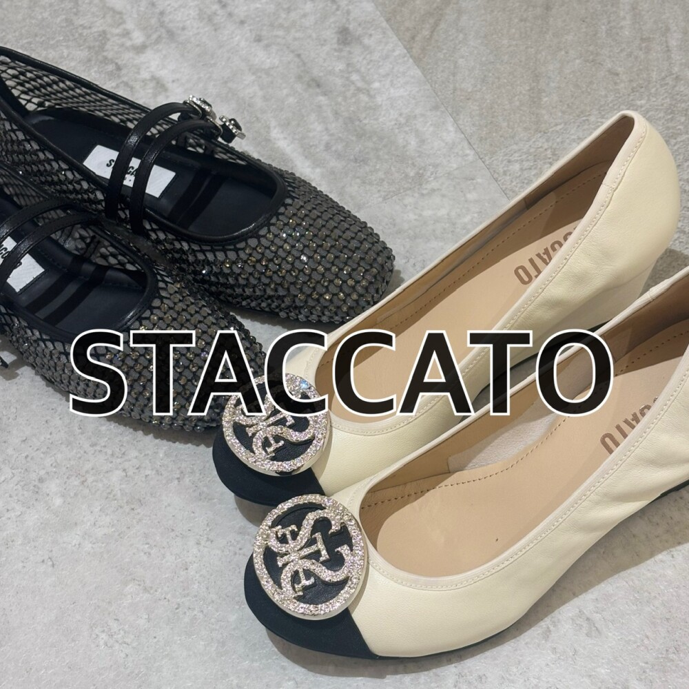 ホット セールの通販 2025春新作】STACCATO/スタッカートから新作パンプスが登場しま 靴