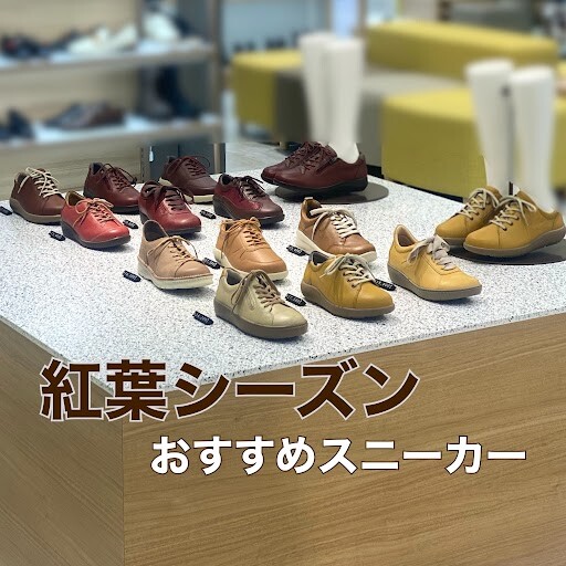 「～第一弾～紅葉シーズンの靴選び」らくちんおすすめスニーカー！！