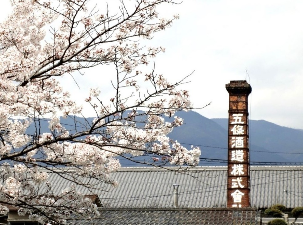 今週の日本酒～創業大正13年！奈良県で人気の老舗酒蔵さん✨