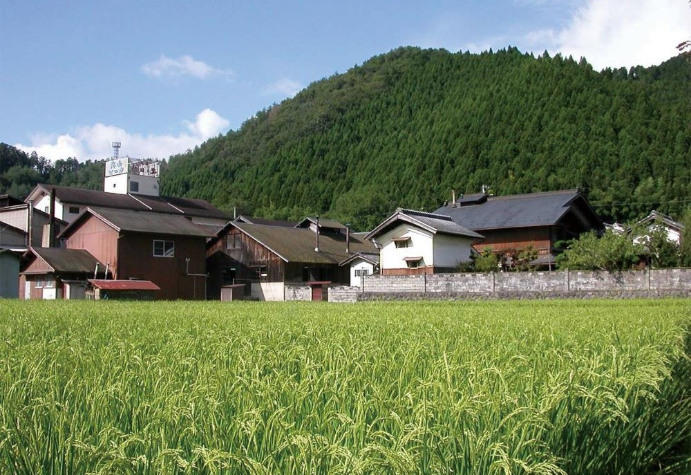 今週の日本酒～京都北山の自然が育む、伝統とこだわりの地酒🌾