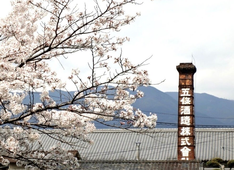 今週の日本酒～金剛山の静冽なお水で醸されたお酒🏔