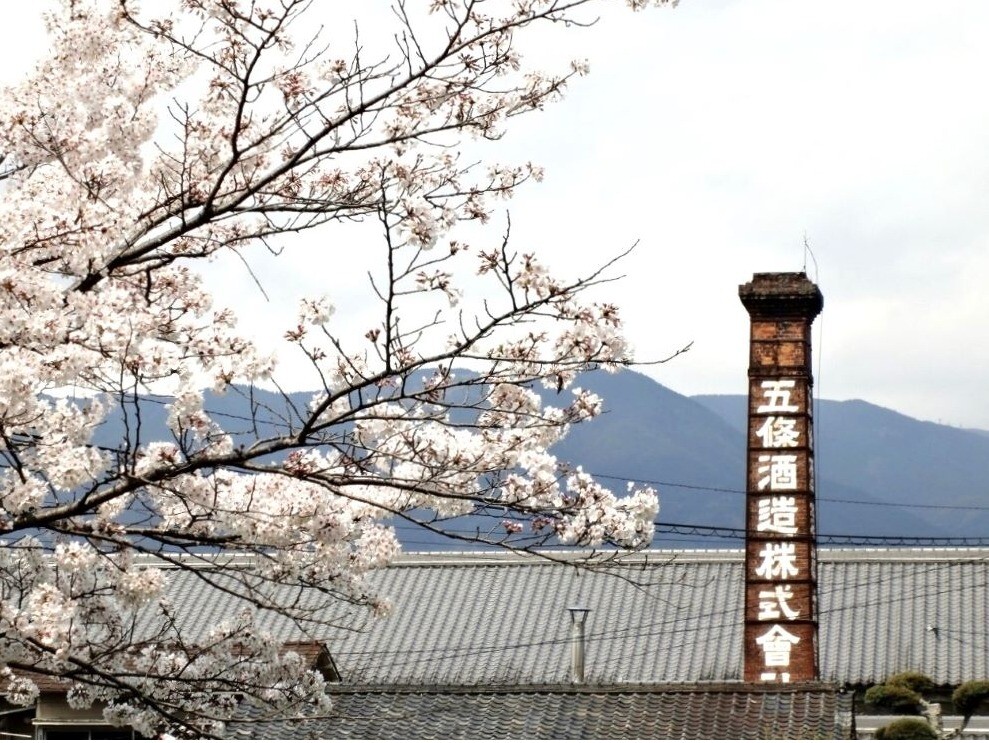 今週の日本酒～金剛山の清冽な水～