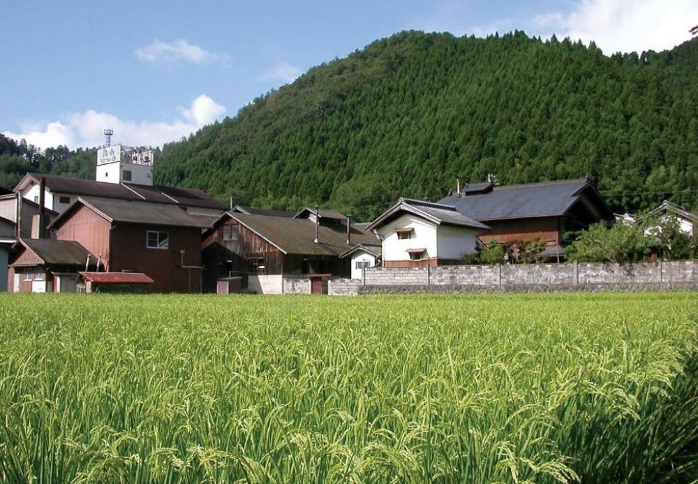 今週の日本酒～自然・水・米・手造りにこだわる、京都の老舗酒蔵さん✨