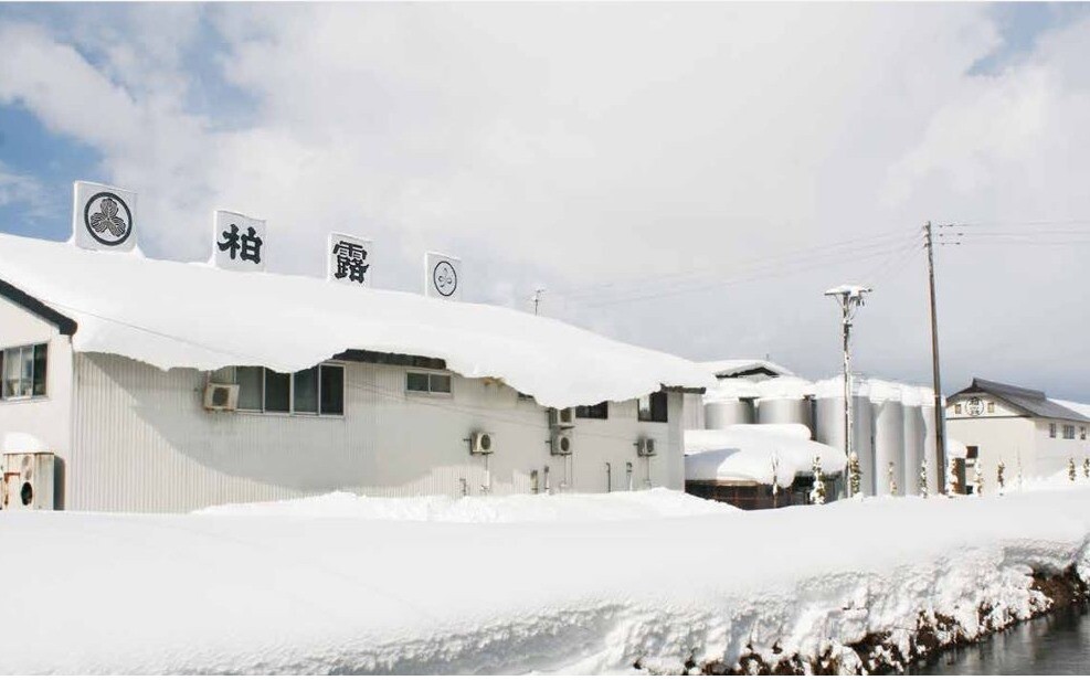 今週の日本酒～初✨プロモーション！270年の歴史ある酒蔵さん！