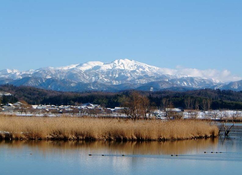 今週の日本酒～『霊峰白山』の雪解け水～2回目の登場✨