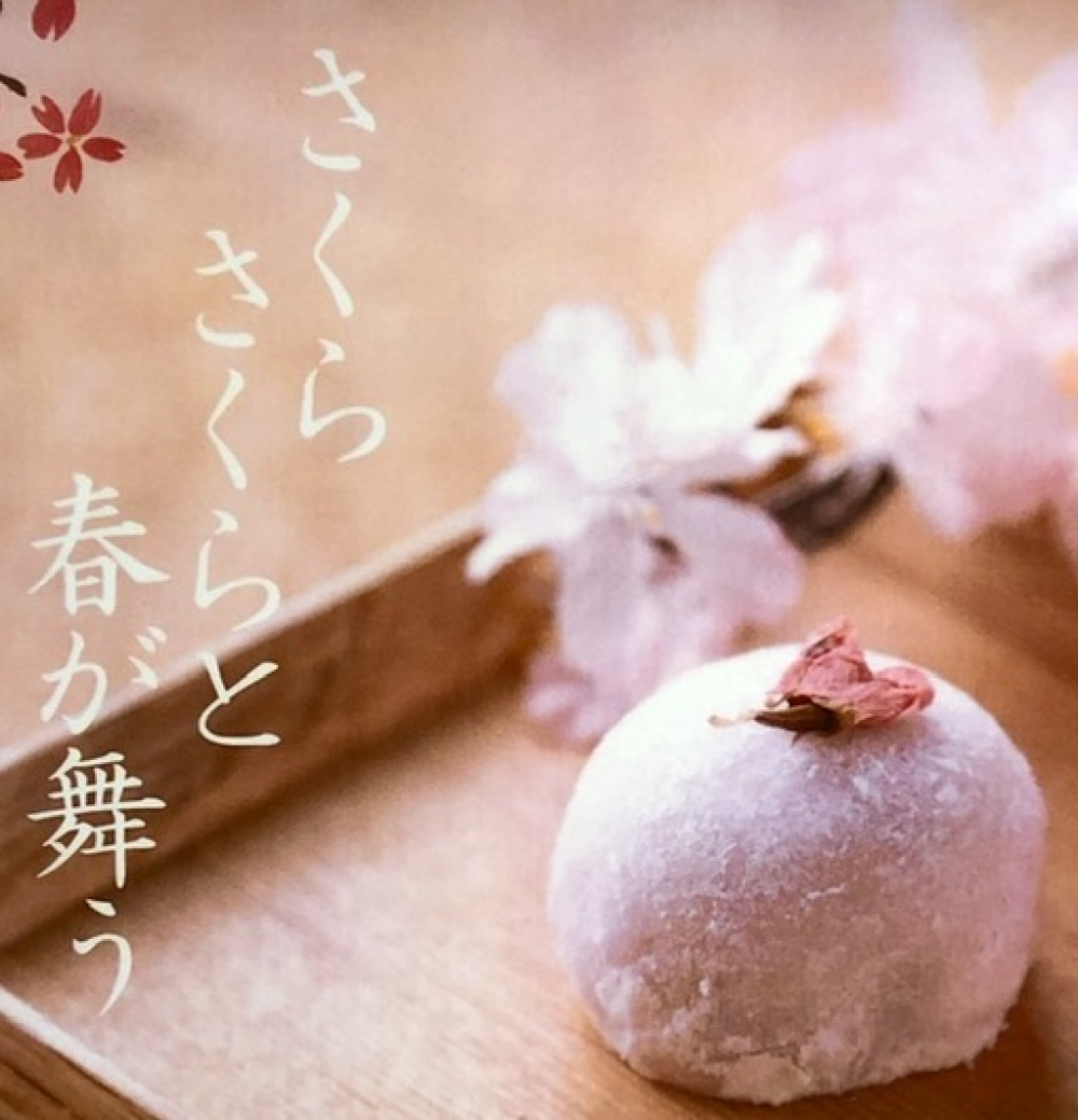 🌸再び登場　生菓子『さくらさくら』