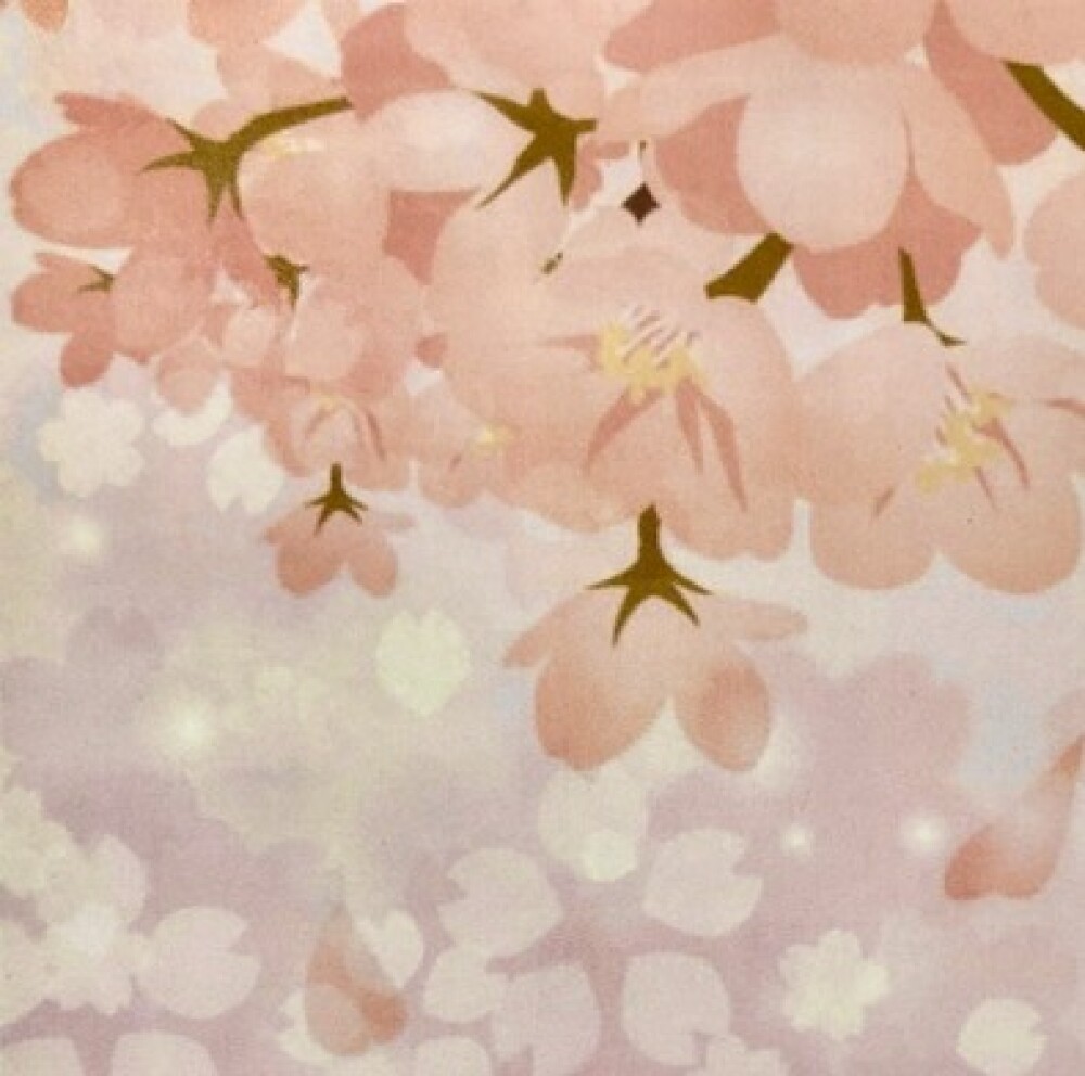 桜の香りが優しく届く。生菓子『さくらさくら』