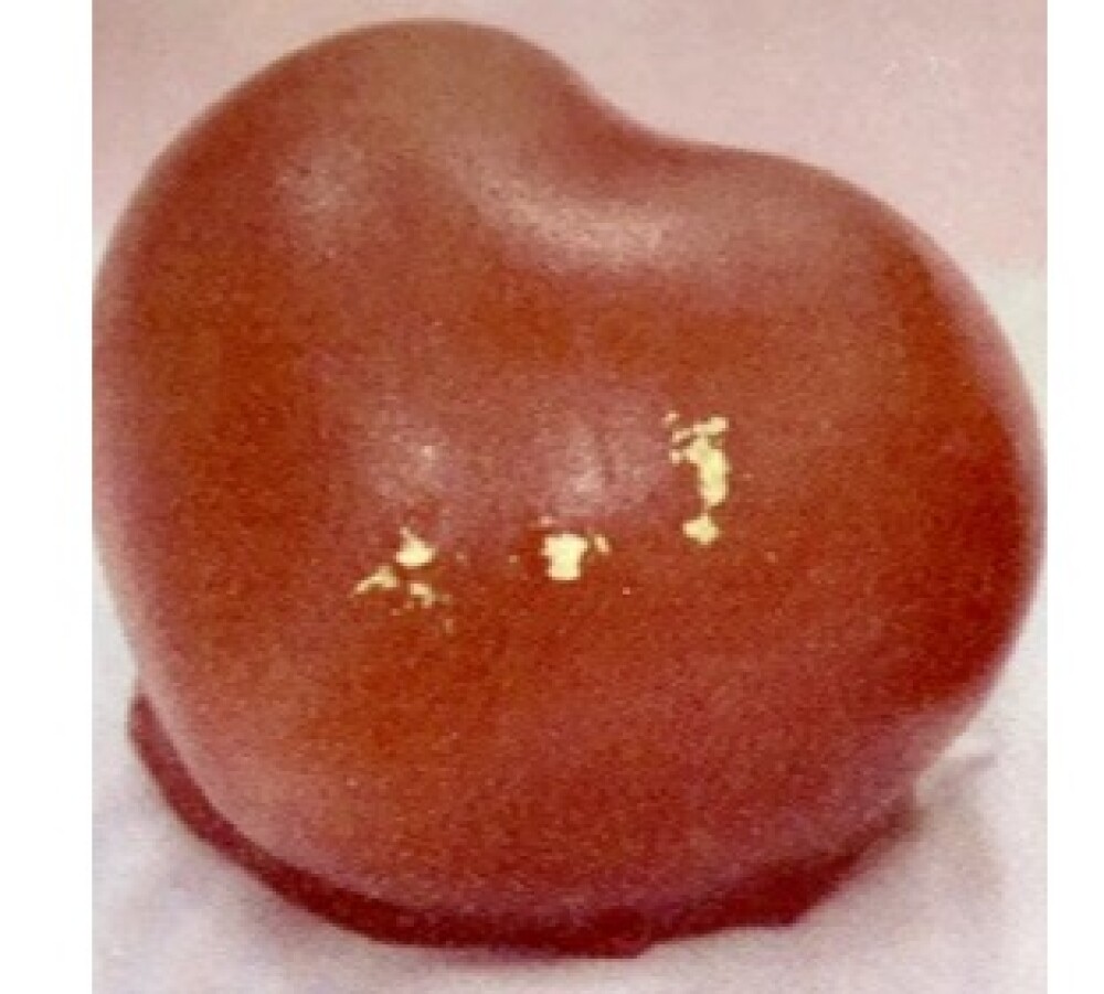 🩵ホワイトデー限定の生菓子『一途』