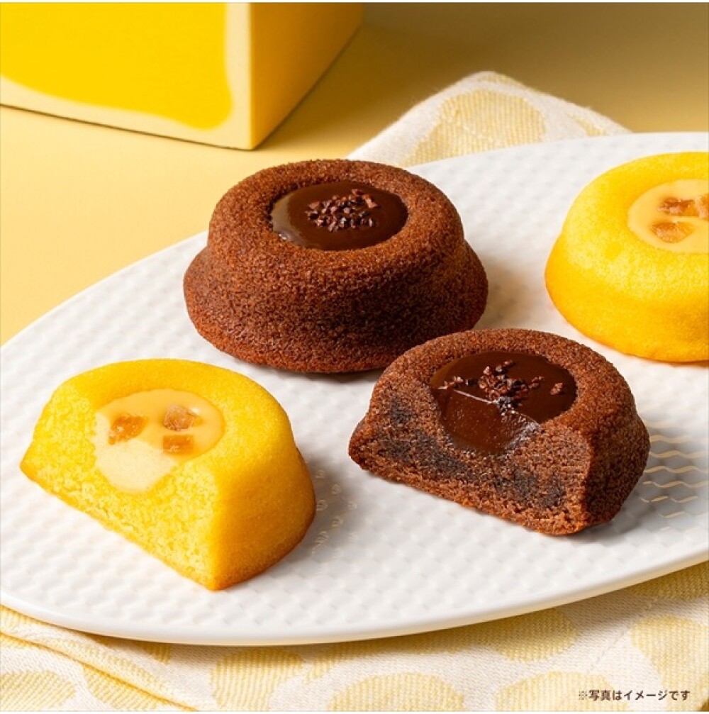 【新しい味わい】瀬戸内レモン ティグレ アソートメント