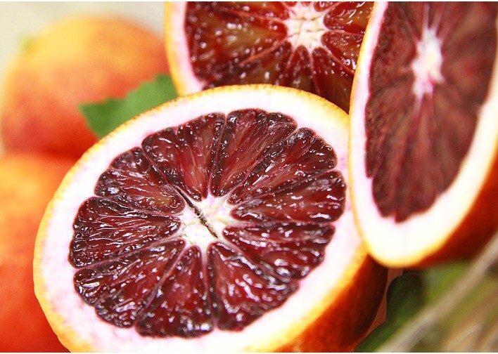 国産は稀少！？春が旬の柑橘特集②🍊【ブラッドオレンジ】