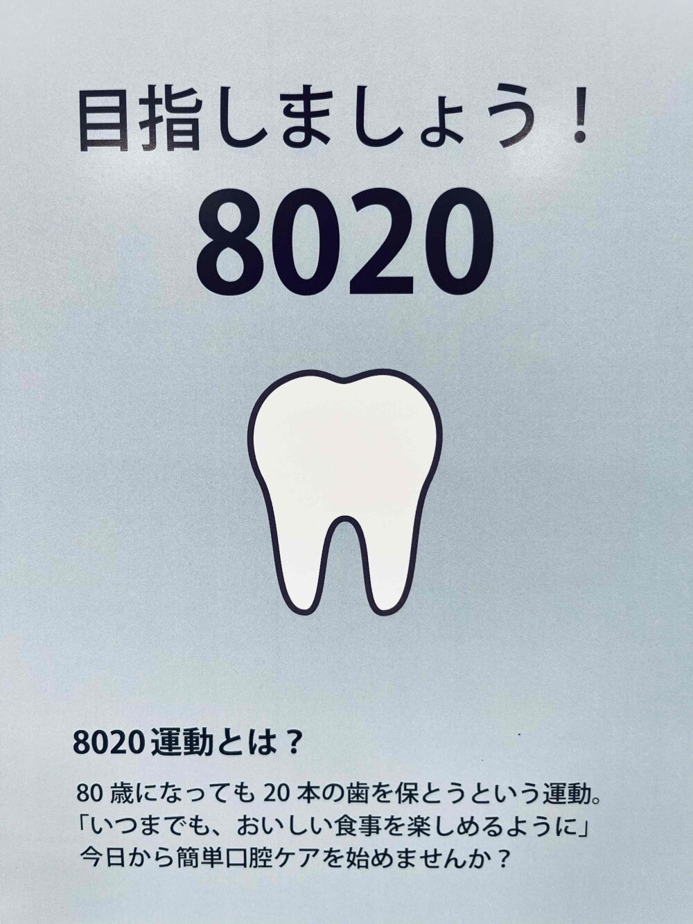 〈生活の木〉8020を目指して！健やかな口内環境をつくる