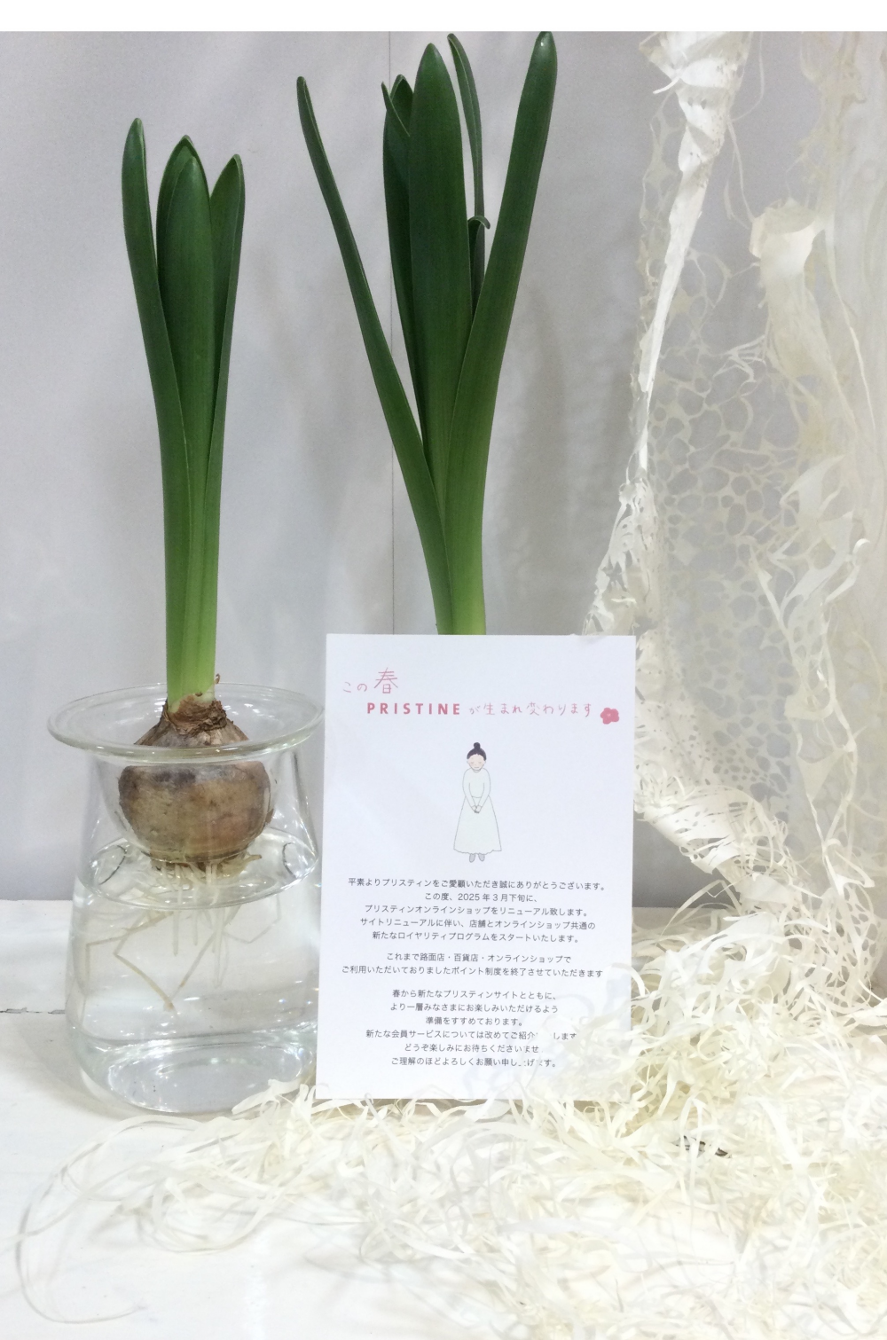 【大切なお知らせ】新しい会員サービスとポイント制度終了に関して