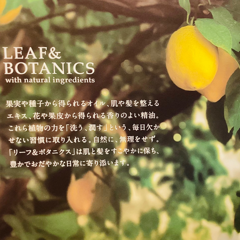 季節限定！レモンの香りが登場🍋