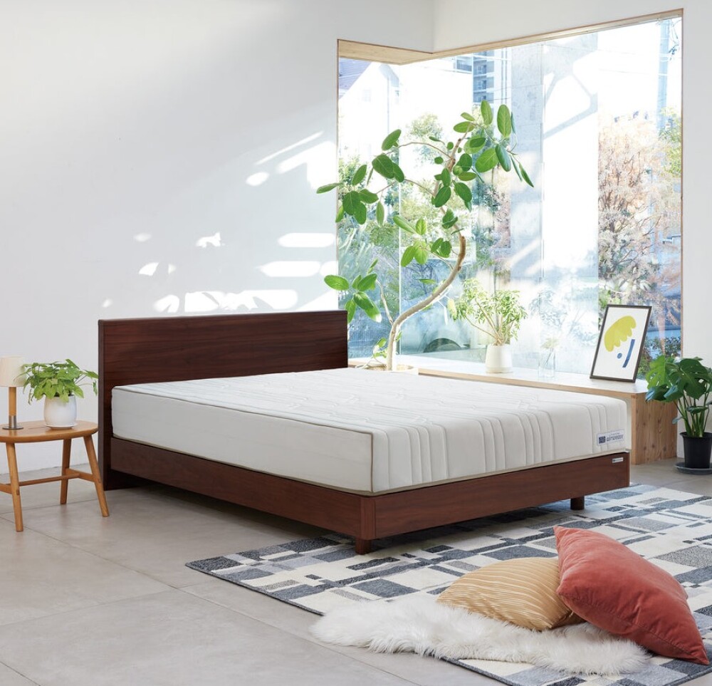 ⭐️エコフクーポン使えます⭐️