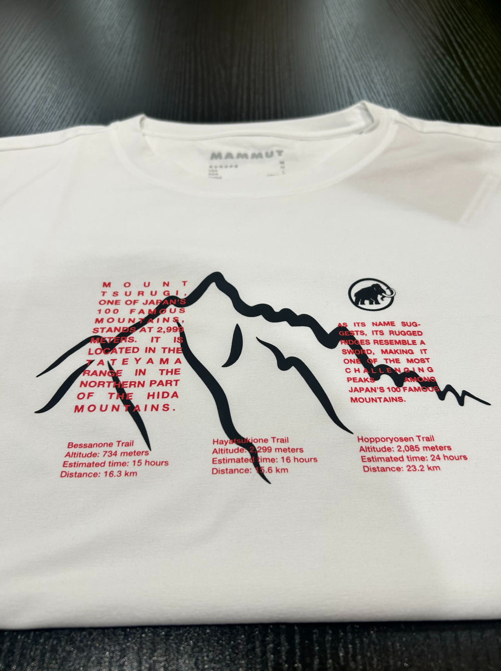 人気の夏山Tシャツが入荷しました！