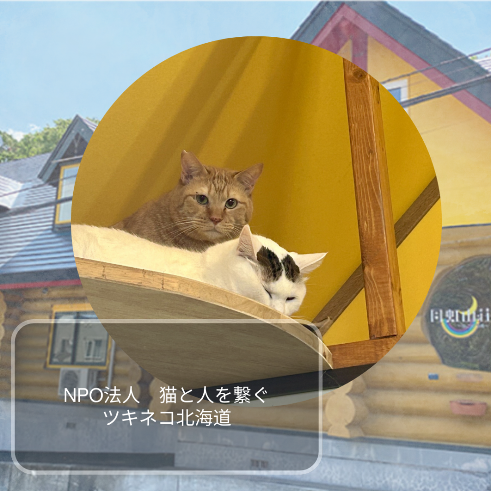 ～もっと知りたい北海道の魅力～　NPO法人ネコと人を繋ぐツキネコ北海道