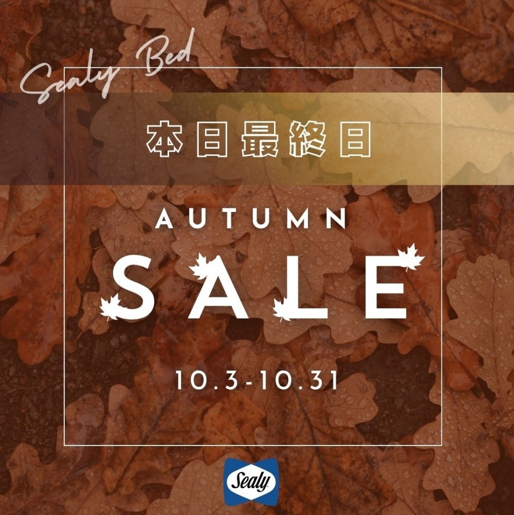 🍂秋の新作フェア🍂本日最終日!