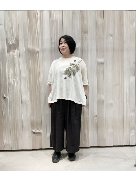 パドカレ
