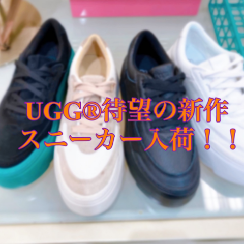 センスのいい お歳暮 fa23a62d.png 靴