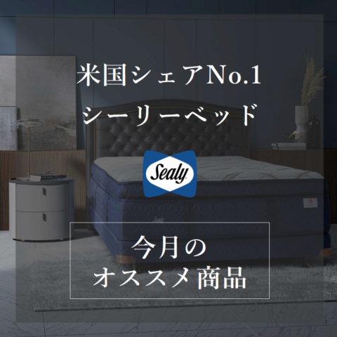 【5％OFF】 買い替えるなら今！】今月のお買い得情報🛏 シーリーベッド | シングルベッド