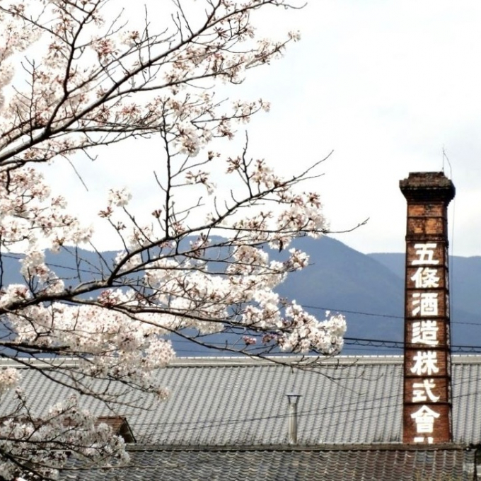 今週の日本酒～創業大正13年！奈良県で人気の老舗酒蔵さん✨