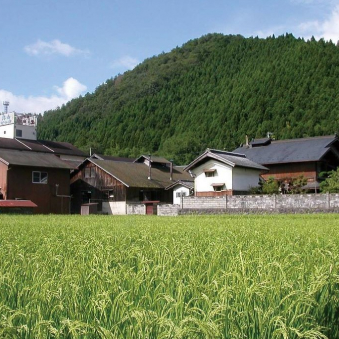 今週の日本酒～京都北山の自然が育む、伝統とこだわりの地酒🌾