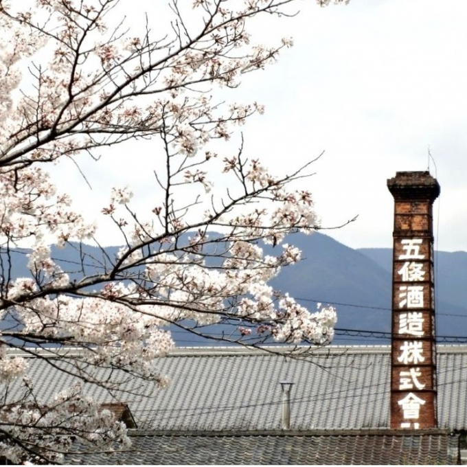 今週の日本酒～金剛山の清冽な水～