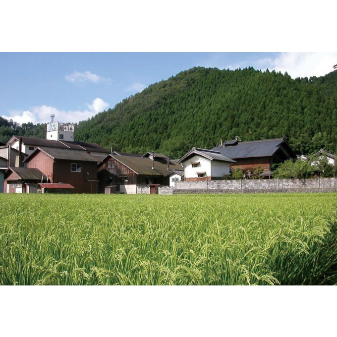 今週の日本酒～自然・水・米・手造りにこだわる、京都の老舗酒蔵さん✨