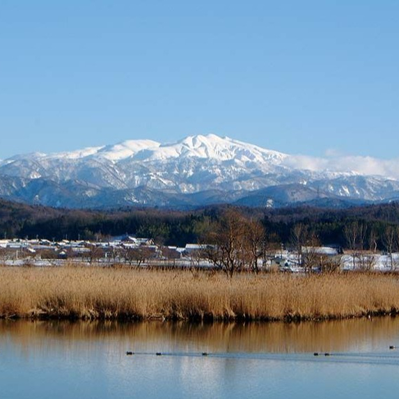 今週の日本酒～『霊峰白山』の雪解け水～2回目の登場✨