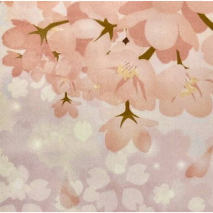 桜の香りが優しく届く。生菓子『さくらさくら』