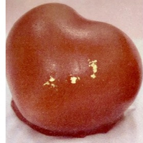 🩵ホワイトデー限定の生菓子『一途』