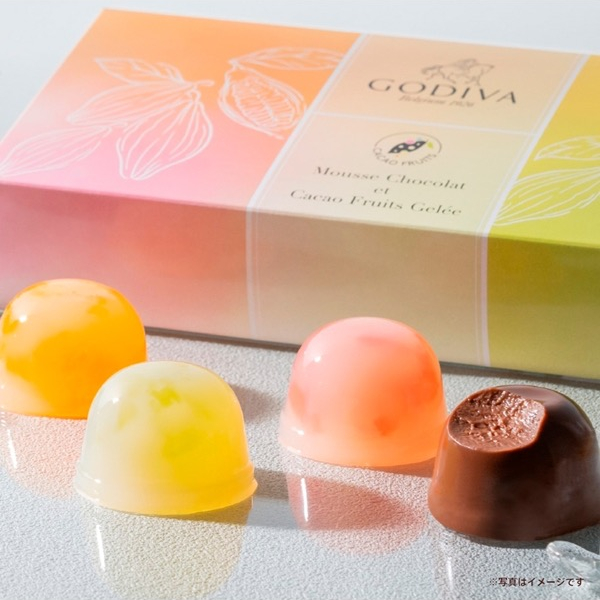 【大切なひとときに】ムースショコラ エ カカオフルーツジュレ
