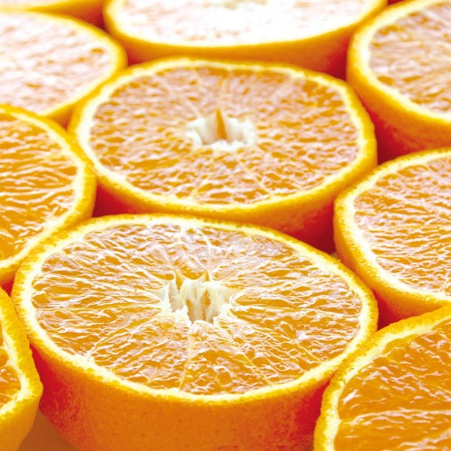 ジューシーな国産果実！春が旬の柑橘特集🍊【デコポン】