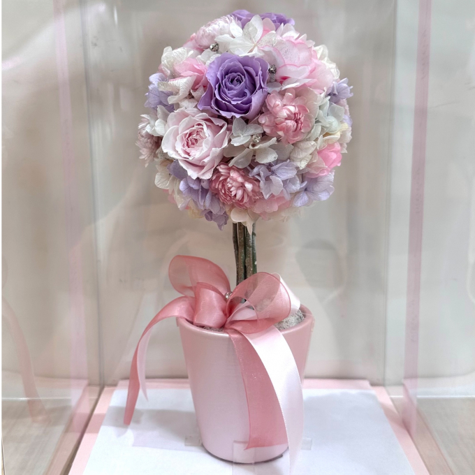 フェイラー】Have a lovery day！ハブアラブリーデイ♡アネモネ畑の