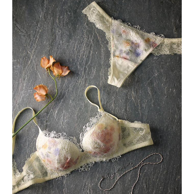 ワコール新作🌼《プレミアム》25group