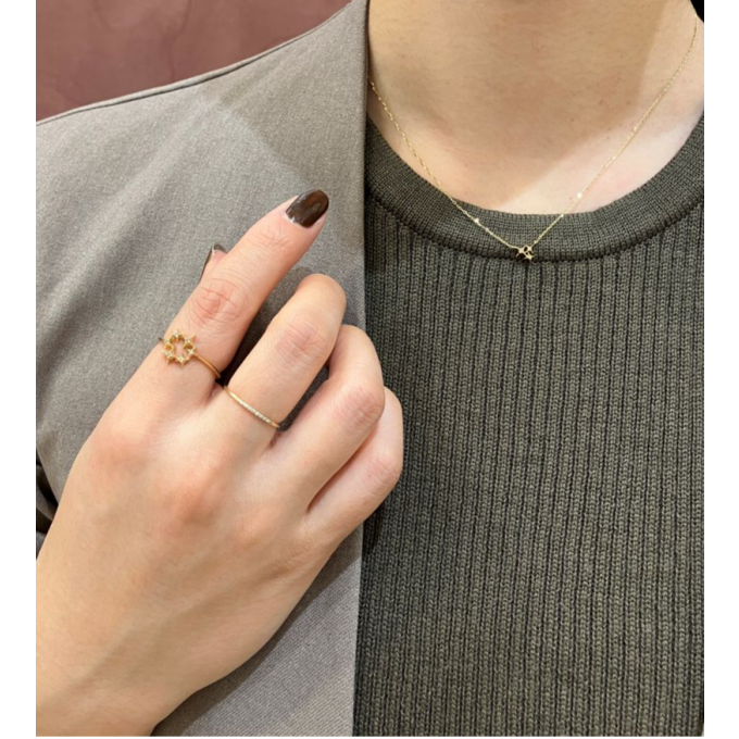 ホーリーコレクション