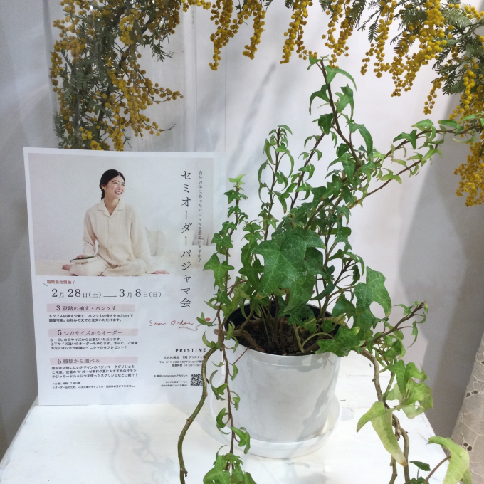 心地よい眠りを誘うプリスティンのパジャマ