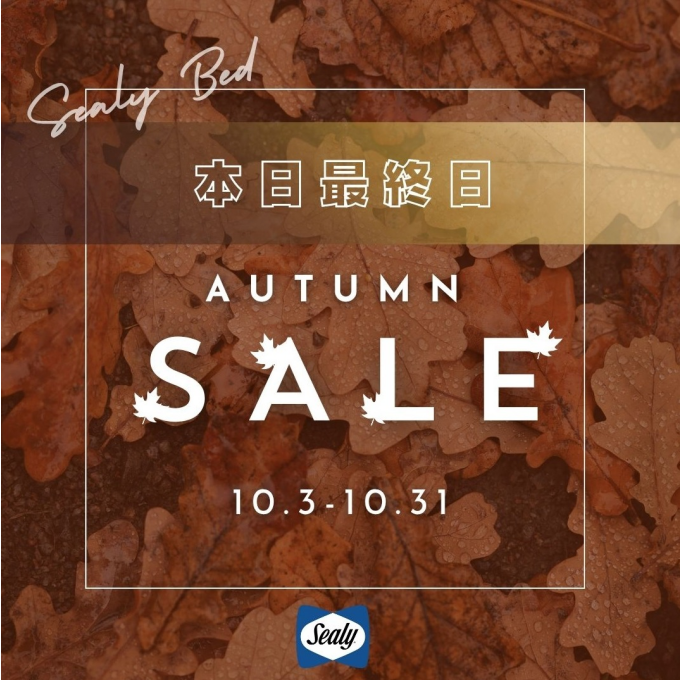 🍂秋の新作フェア🍂本日最終日!