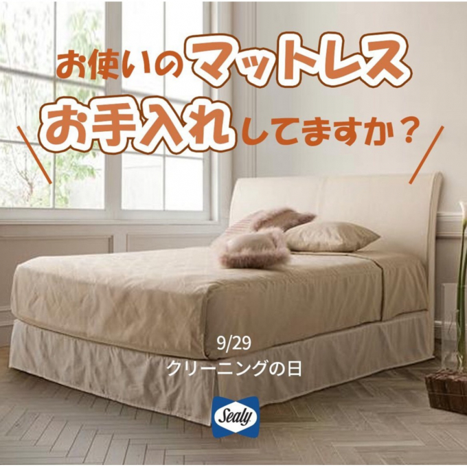 【知らないと損！】お使いのマットレスお手入れしてますか？🛏