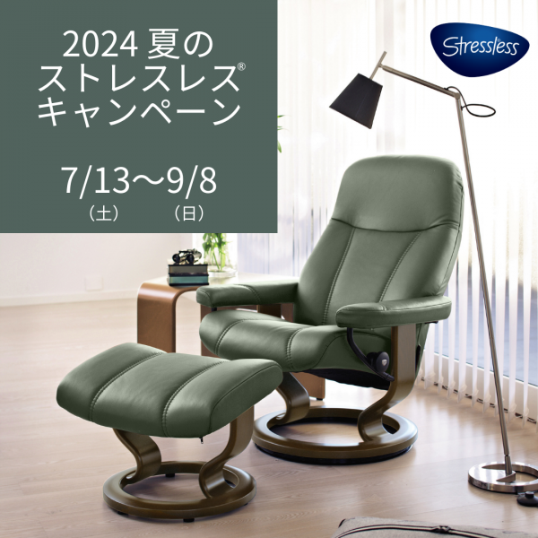 エコーネス ストレスレス グリーン 見易かっ