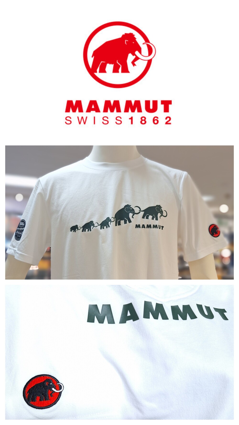 再入荷❗❗　MAMMUT×好日山荘🌟100周年記念Tシャツ🌟👕