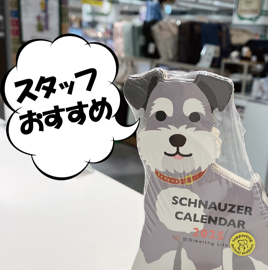 いま買いたい！おすすめアイテム