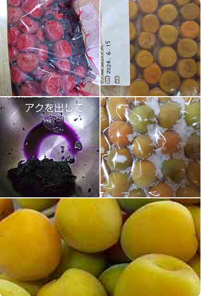 昔ながらの梅干し！！