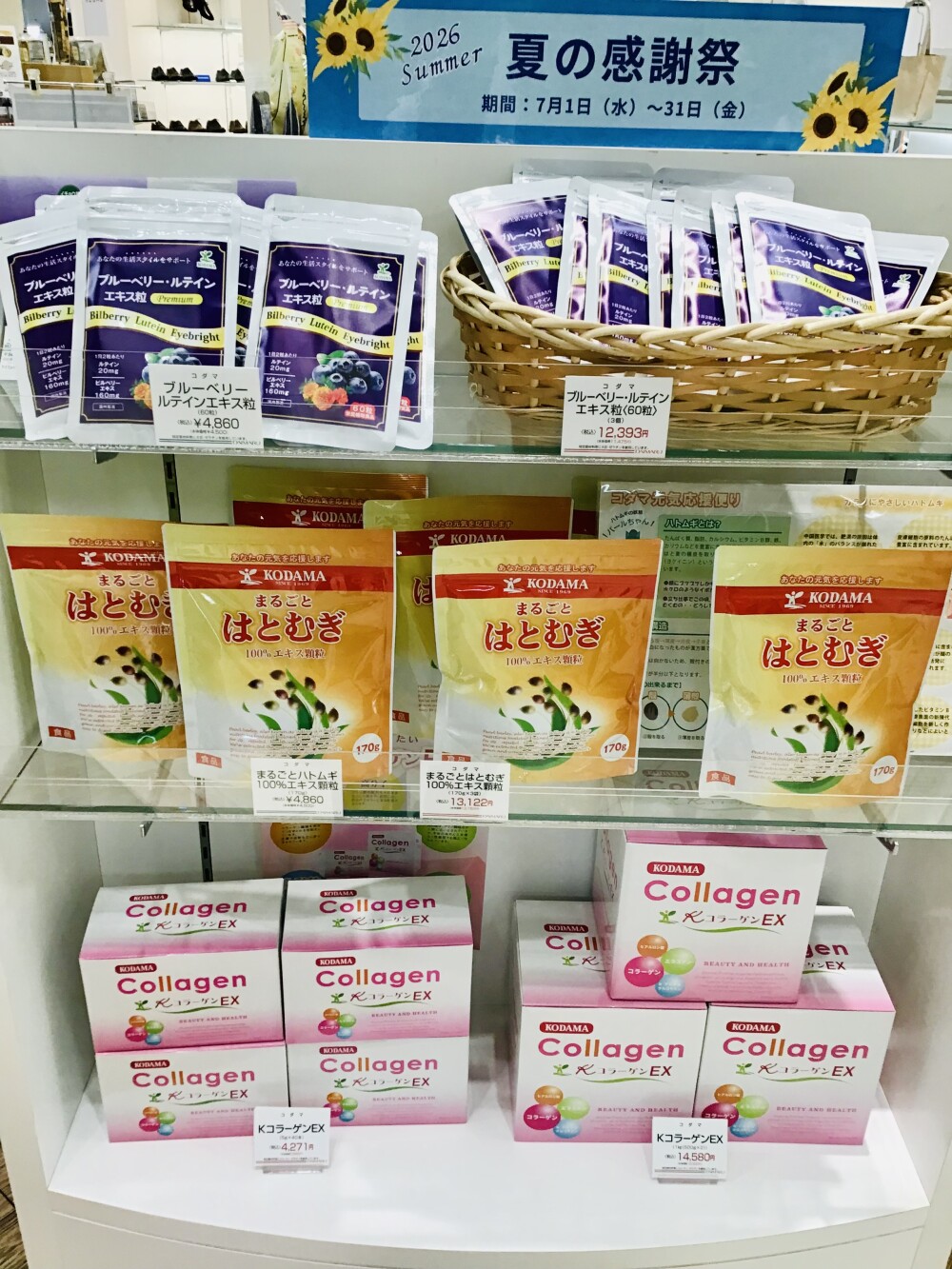 夏の大感謝セール始まりました！！