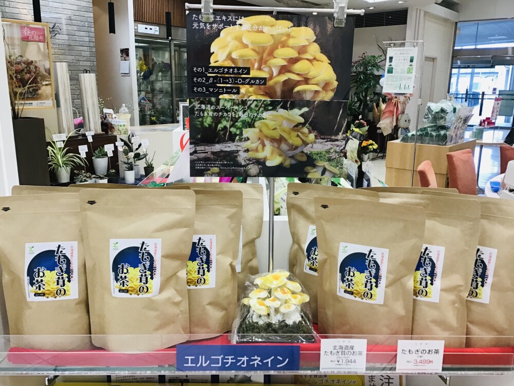 北海道のスーパーきのこ「たもぎ茸」