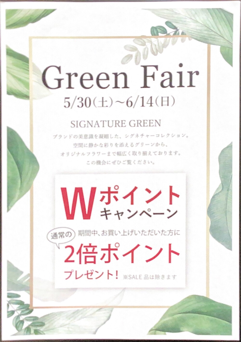 🌿Green    Fair 🌿