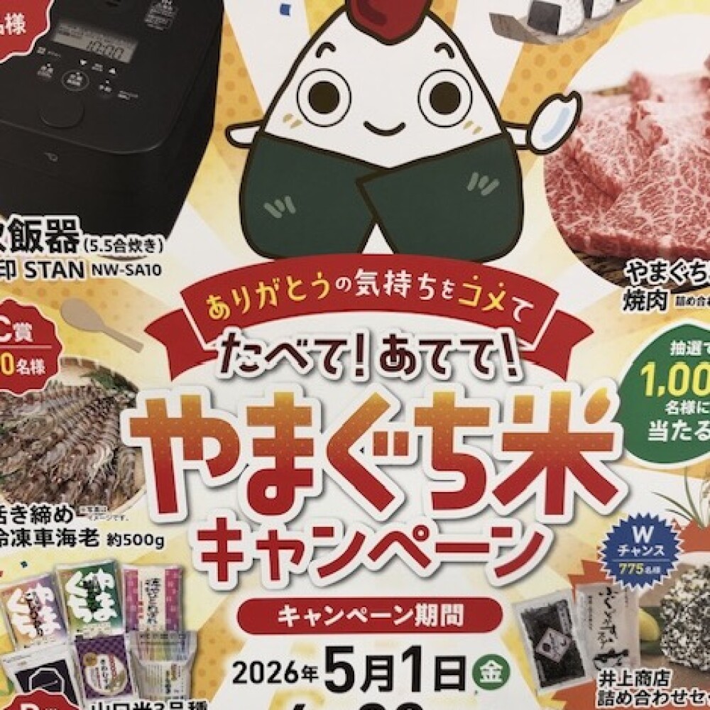 今！お米がお得です！🌾