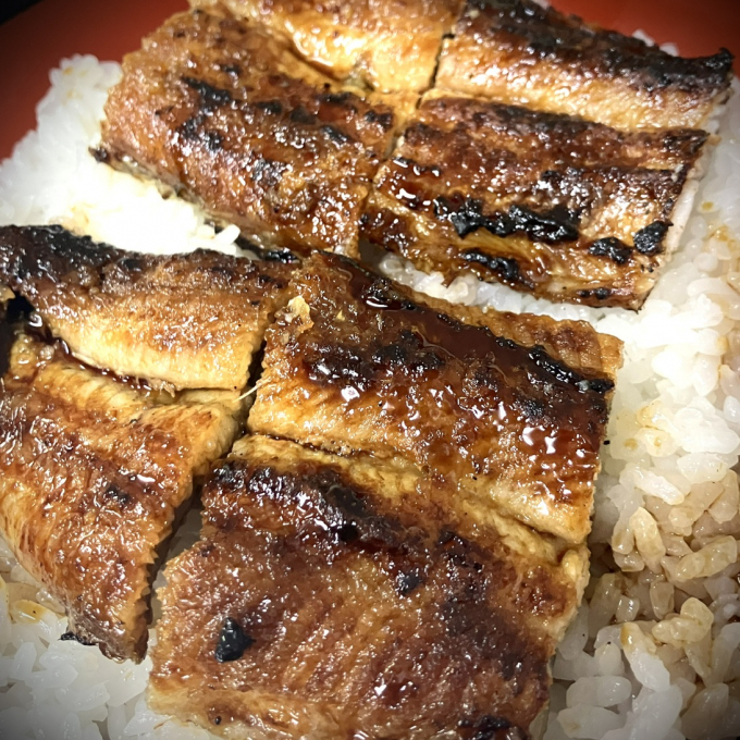 本日【土用の丑の日】うなぎが食べたい！