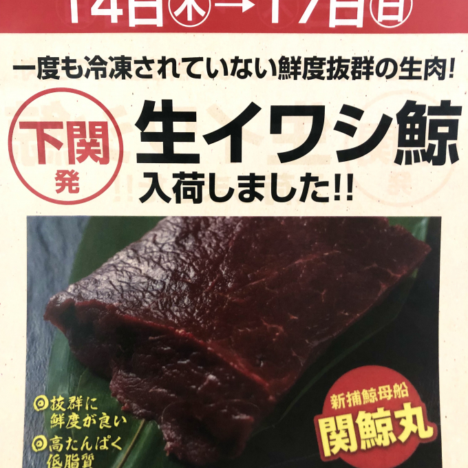 希少！鮮度が違う！【生イワシ鯨肉】入荷！