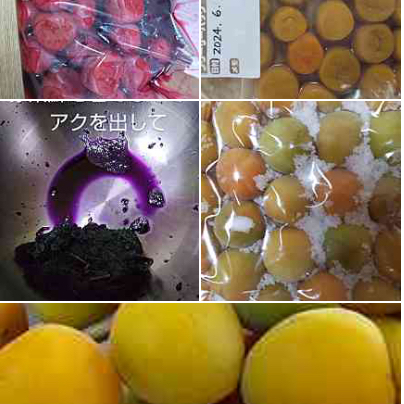 昔ながらの梅干し！！